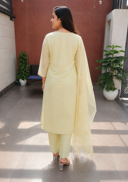 Kota Shimmer Suit Set with Heavy Embroidery | Light Pista